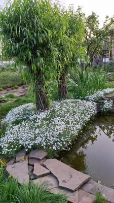 Продам дом, Орджоникидзе ул, 58, Батайск г, 0 км от города