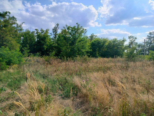 Продам участок 6 соток, ИЖС, Ясная ул, Золотой Колос п, 0 км от города