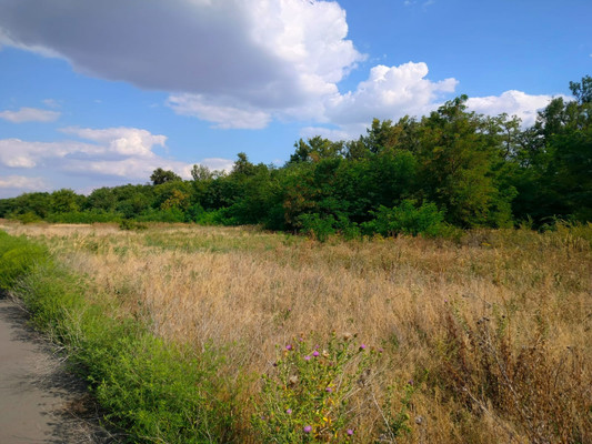 Продам участок 6 соток, ИЖС, Ясная ул, Золотой Колос п, 0 км от города