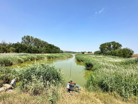 Продам участок 524 соток, ИЖС, Незамаевская ст-ца, 0 км от города