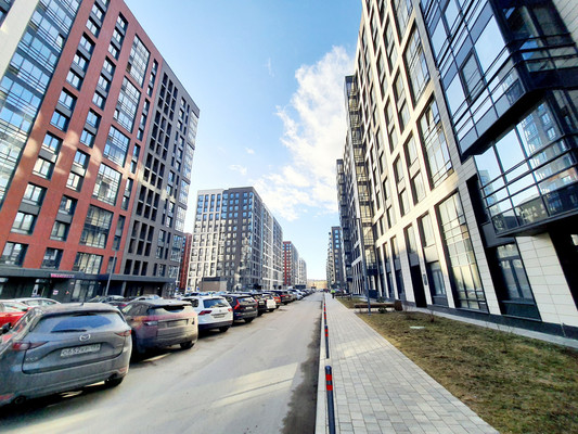 Сдам однокомнатную (1-комн.) квартиру, Белоостровская ул, 10к2, Санкт-Петербург г