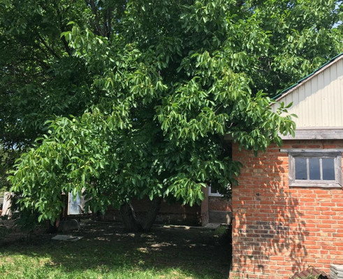 Продам трехкомнатную (3-комн.) квартиру, Пискохи ул, 8, Алексеевская ст-ца