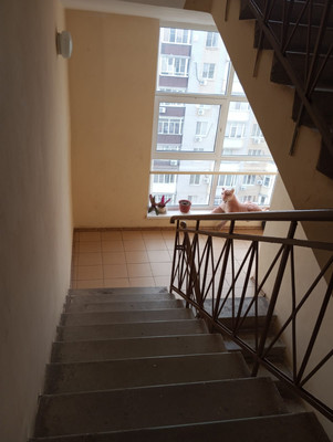 Продам двухкомнатную (2-комн.) квартиру, Коммунистическая ул, 197ак1, Батайск г