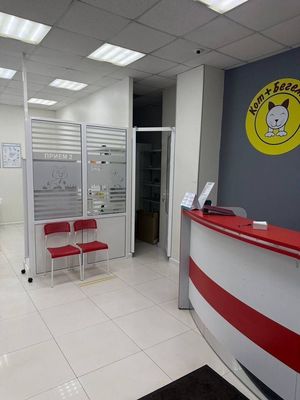 Сдам коммерческое помещение 160 м2, Устье С и Ко снт, Дубна г