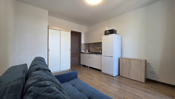 Сдам однокомнатную (1-комн.) квартиру, Старорусский пр-кт, 5к2, Шушары п