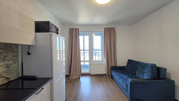 Сдам однокомнатную (1-комн.) квартиру, Старорусский пр-кт, 5к2, Шушары п