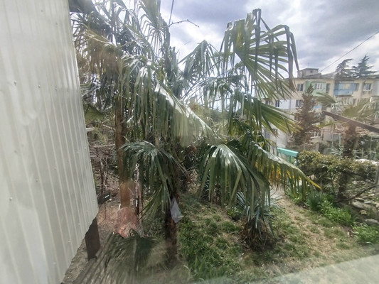 Продам трехкомнатную (3-комн.) квартиру, 2, Сосновый п