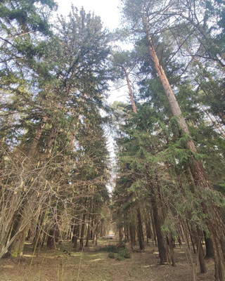 Продам дом, Губкино д, 0 км от города