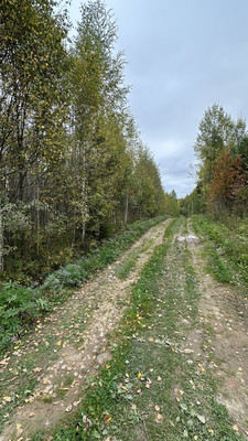 Продам дачу, СНТ Соколовка тер, Выльгорт с, 0 км от города