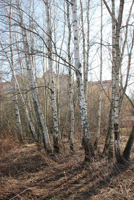 Продам участок 13 соток, ИЖС, Интернациональная ул, 7, Дергаево д, 0 км от города