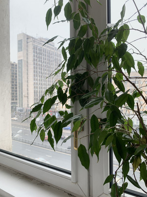 Сдам двухкомнатную (2-комн.) квартиру, Мира пр-кт, 116, Москва г