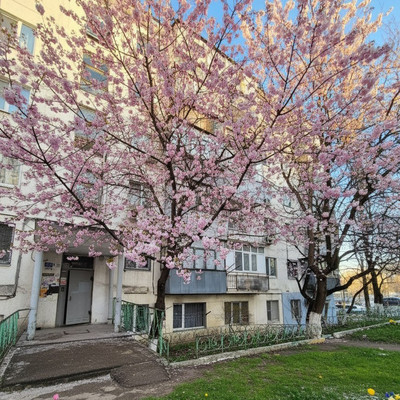 Продам однокомнатную (1-комн.) квартиру, Куникова ул, 601, Новороссийск г