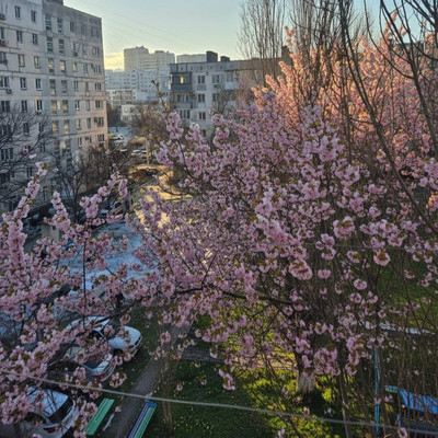 Продам однокомнатную (1-комн.) квартиру, Куникова ул, 601, Новороссийск г