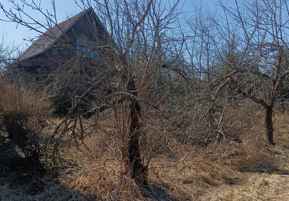 Продам дом, Риф тер. СНТ, Пупышево массив, 0 км от города