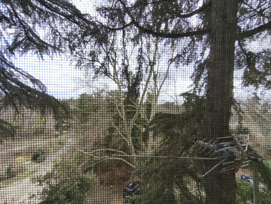 Продам двухкомнатную (2-комн.) квартиру, 1, Сосновый п