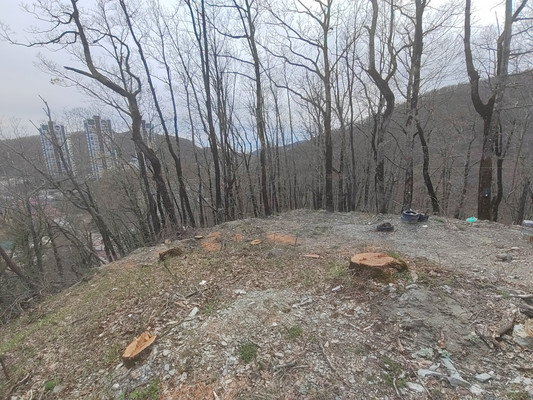 Продам участок 5,5 соток, Фермерское хоз., Мира ул, 56, Туапсе г, 0 км от города