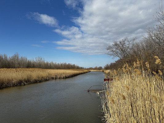 Продам дом, 54, Верхнеподпольный х, 0 км от города