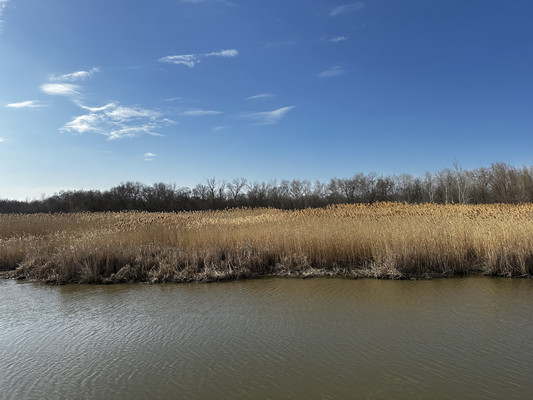 Продам дом, 54, Верхнеподпольный х, 0 км от города