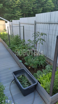 Продам дом, Первомайский п, 0 км от города