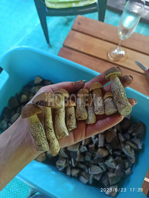 Продам дом, Первомайский п, 0 км от города