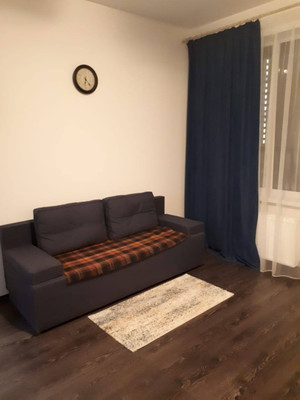 Сдам однокомнатную (1-комн.) квартиру, Арцеуловская аллея, 17, Санкт-Петербург г