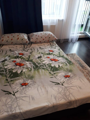 Сдам однокомнатную (1-комн.) квартиру, Арцеуловская аллея, 17, Санкт-Петербург г