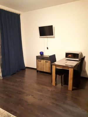 Сдам однокомнатную (1-комн.) квартиру, Арцеуловская аллея, 17, Санкт-Петербург г