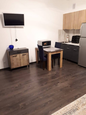 Сдам однокомнатную (1-комн.) квартиру, Арцеуловская аллея, 17, Санкт-Петербург г