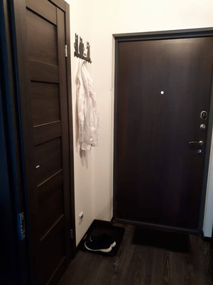 Сдам однокомнатную (1-комн.) квартиру, Арцеуловская аллея, 17, Санкт-Петербург г