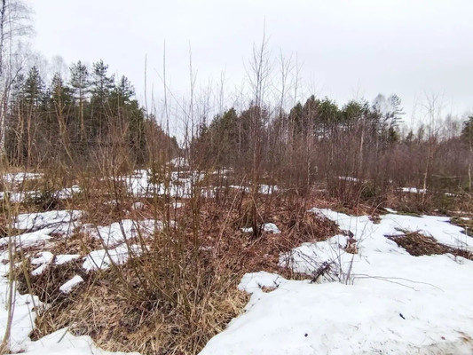 Продам участок 12,5 соток, Фермерское хоз., СНТ Омхово тер, Митяево д, 0 км от города