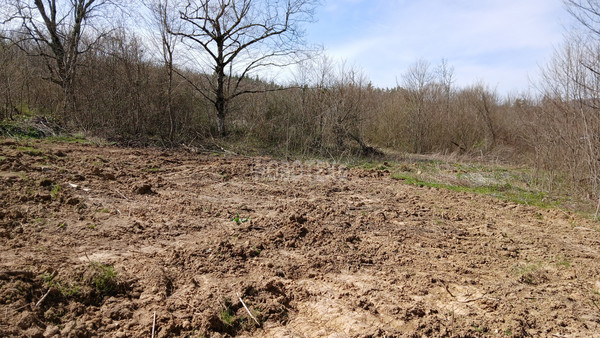 Продам участок 6 соток, ИЖС, Центральная ул, 31, Хадыженск г, 0 км от города