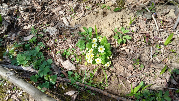 Продам участок 6 соток, ИЖС, Центральная ул, 31, Хадыженск г, 0 км от города