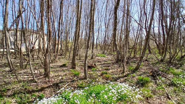 Продам участок 6 соток, ИЖС, Центральная ул, 31, Хадыженск г, 0 км от города