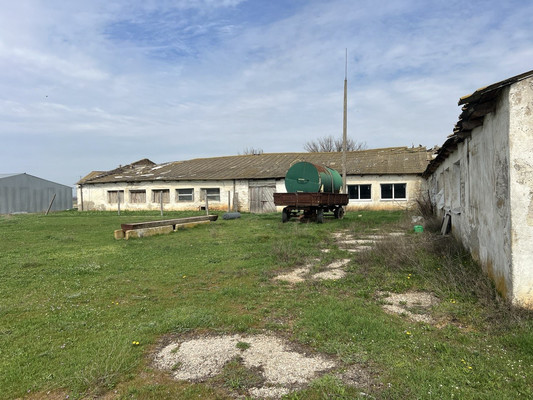 Продам коммерческое помещение 3 518,5 м2, Терешковой ул, 1А, Куликовка с