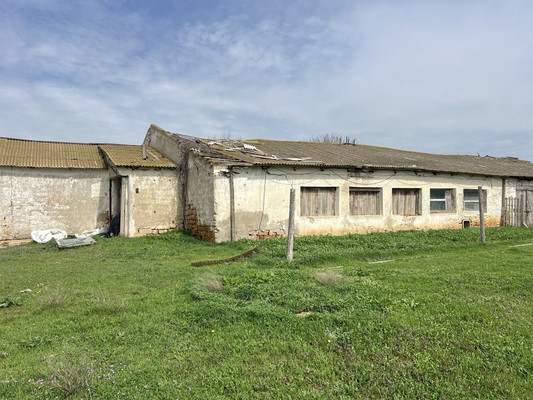 Продам коммерческое помещение 3 518,5 м2, Терешковой ул, 1А, Куликовка с