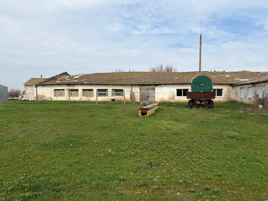 Продам коммерческое помещение 3 518,5 м2, Терешковой ул, 1А, Куликовка с