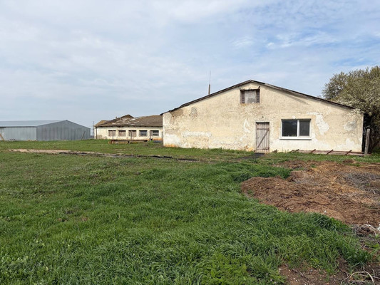 Продам коммерческое помещение 3 518,5 м2, Терешковой ул, 1А, Куликовка с
