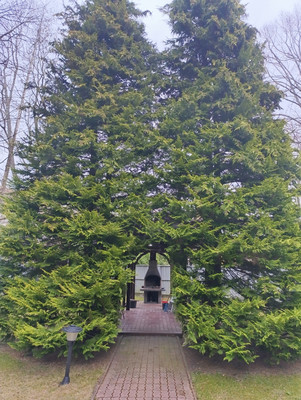 Продам гостиницу 315 м2, Победы пр-кт, 5, Светлогорск г