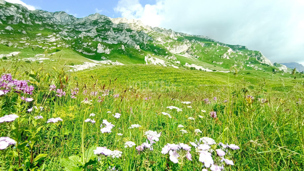 Продам участок 40 соток, ИЖС, Железнодорожная ул, Тубы с, 0 км от города