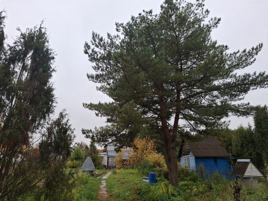 Продам участок 28 соток, ИЖС, Писково д, 0 км от города