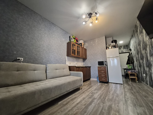 Продам однокомнатную (1-комн.) квартиру, Красина ул, 53, Цемдолина с