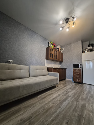 Продам однокомнатную (1-комн.) квартиру, Красина ул, 53, Цемдолина с