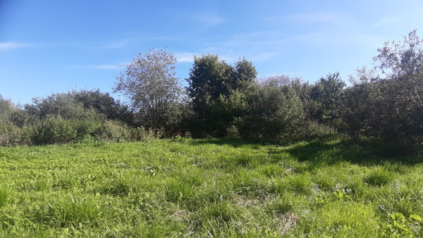 Продам дом, Никулино д, 0 км от города