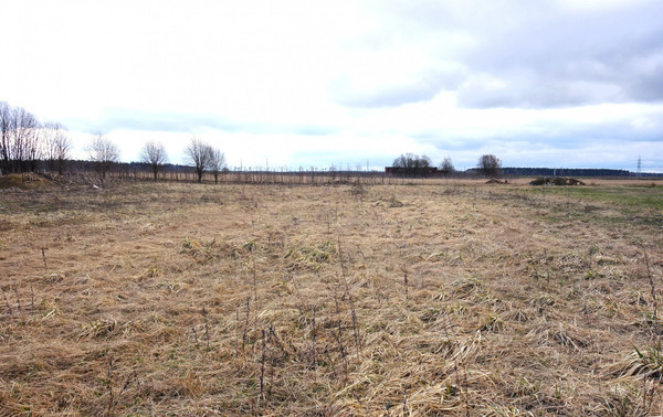 Продам участок 40 соток, ИЖС, Гатчинское ш, Шпаньково д, 0 км от города