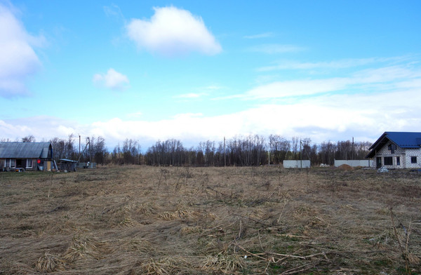 Продам участок 40 соток, ИЖС, Гатчинское ш, Шпаньково д, 0 км от города