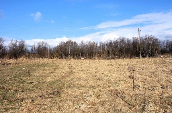Продам участок 40 соток, ИЖС, Гатчинское ш, Шпаньково д, 0 км от города