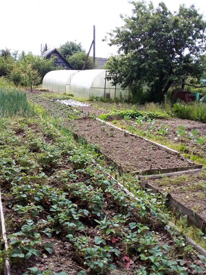 Продам дачу, СНТ Игнатовский тер. СНТ, Игнатово д, 0 км от города