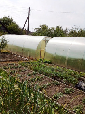 Продам дачу, СНТ Игнатовский тер. СНТ, Игнатово д, 0 км от города