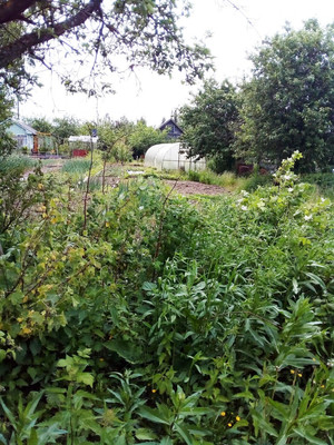 Продам дачу, СНТ Игнатовский тер. СНТ, Игнатово д, 0 км от города