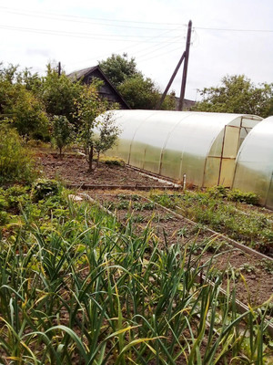 Продам дачу, СНТ Игнатовский тер. СНТ, Игнатово д, 0 км от города